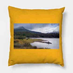 Tierra del Fuego Pillow