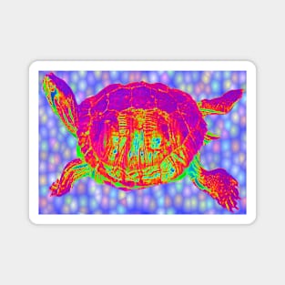 Psychedelic turtle Magnet