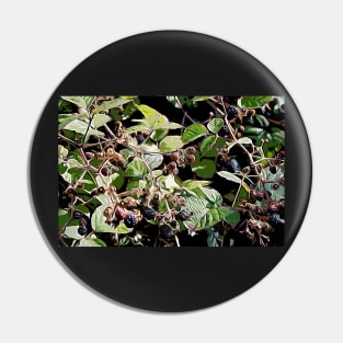 Blackberries Pin