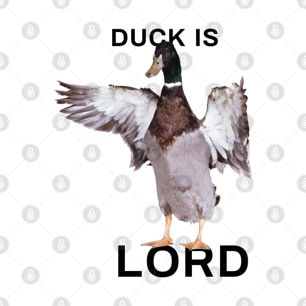 Duck is Lord by metanoiias