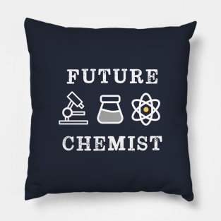 Future Chemist Retro Vintage Pillow