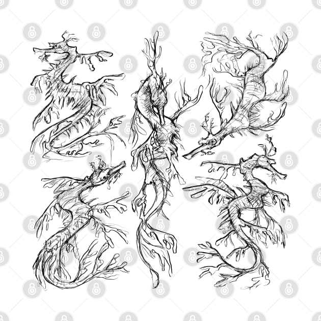 Sketches of a Leafy Seadragon by AniaArtNL