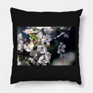 White Flowers Photo Pillow