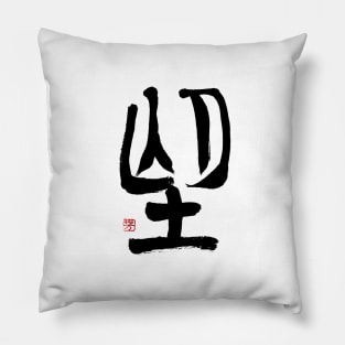 Desire 望 Japanese Calligraphy Pillow