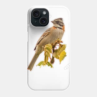 Rufous-collared sparrow bird pin white text Phone Case