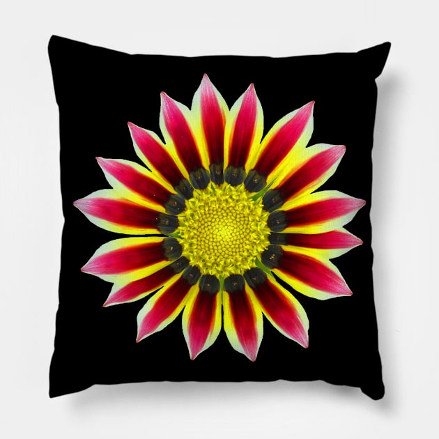 red pink flower, blossom, nature, blooming Pillow by rh_naturestyles