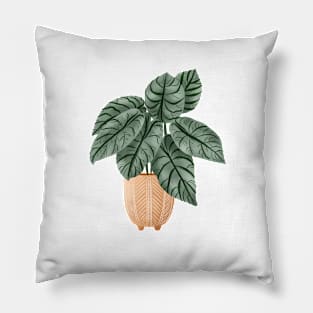 Alocasia Silver Dragon Illustration 2 Pillow