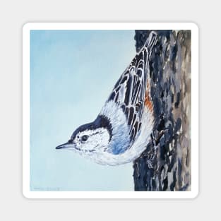 White Breasted Nuthatch - wild bird painting Magnet