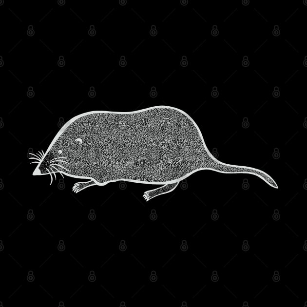 Pygmy Shrew - cute hand drawn rodent design by Green Paladin