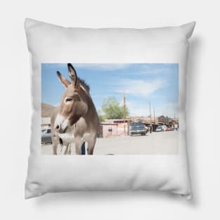 Oatman donkey in main street of small old ghost town on Route 66. Pillow