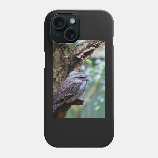 Tawny Frogmouth 1 Phone Case by DeborahMcGrath