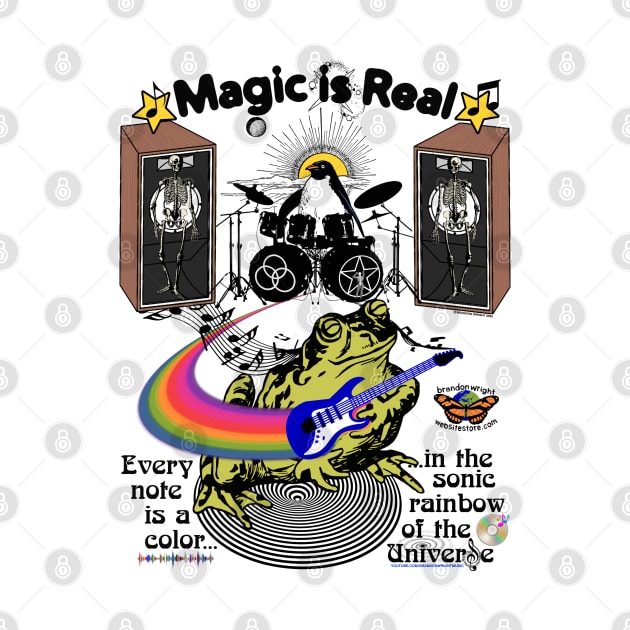 Guitar Frog "Magic is Real" - Every note is a color in the sonic rainbow of the universe by brandonwrightmusic