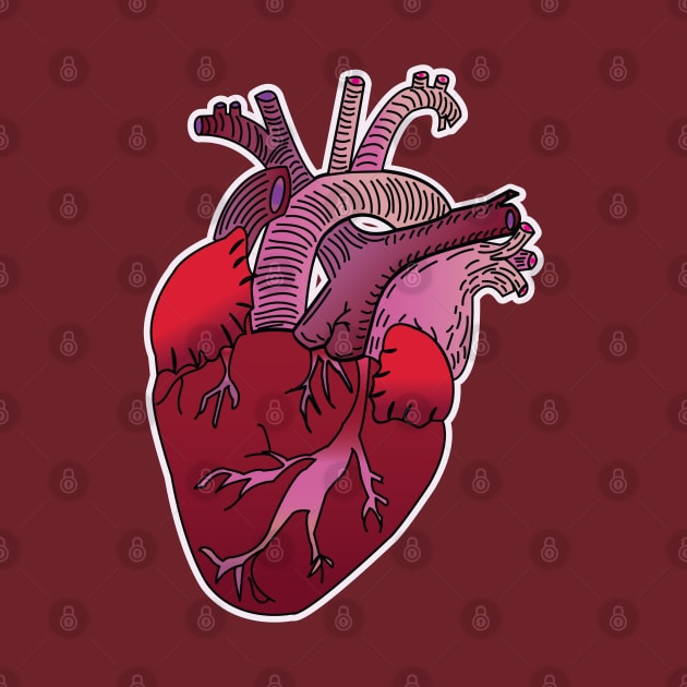 Red Anatomical Heart by tesiamarieart