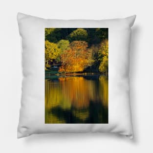 Rydal Water Reflections Pillow