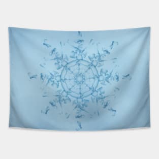 Original Snowflake Design Blue Background Tapestry