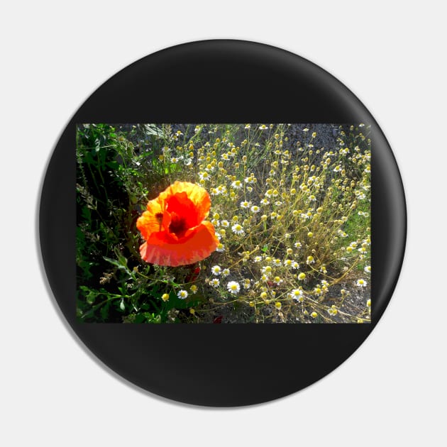 Red Poppy Daisy Chain Nature's Garden Pin by PlanetMonkey