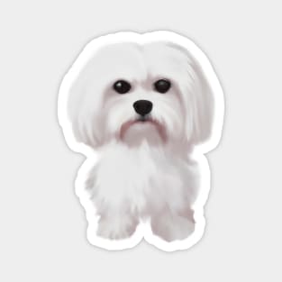 Cute Maltese Dog Drawing Magnet