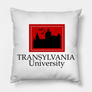 Transylvania University Pillow