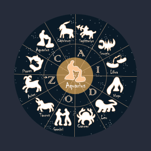 Aquarius, Zodiac, Astrology, Horoscope, Stars, Sun-and-moon. Birthday, Valentines-day, Holidays, T-Shirt