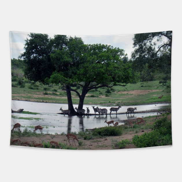 My African Safari - Waterhole Tapestry by kimbo11