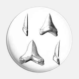 Shark Teeth | Great White Megalodon Fossils Pin