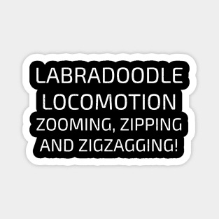 Labradoodle Locomotion Zooming Magnet