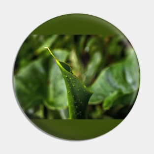 Young Green Calla Lily Leaf Pin