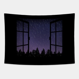 night rain on the window Tapestry