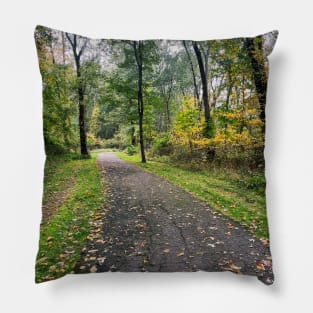 Late September Morning New England Nature Walk - autumn leaves Pillow