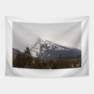 The Canadian Rockies in winter Tapestry