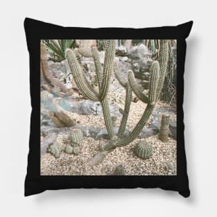 Cacti II Pillow