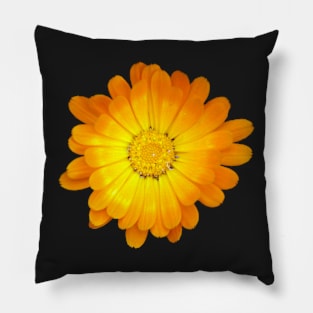 Yellow Flowers Black Background - by Avril Thomas Pillow