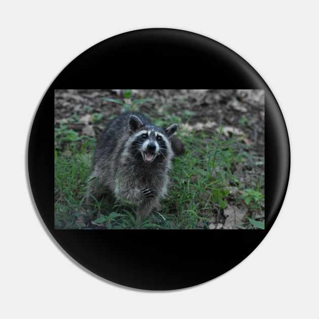 Smiling Raccoon Pin by MarieDarcy