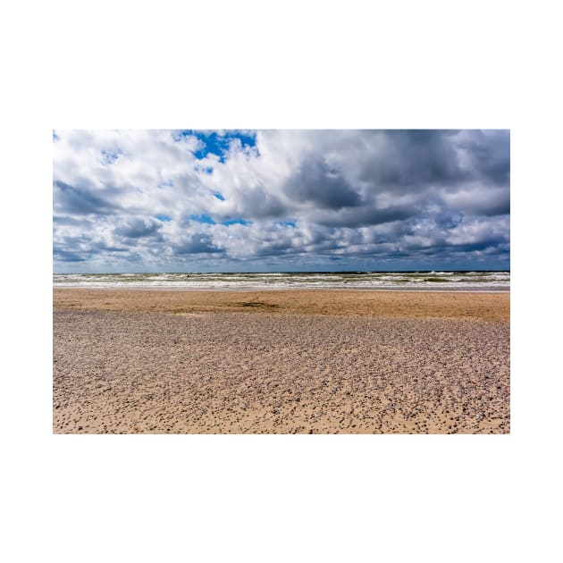 Empty Baltic sea and beach by lena-maximova