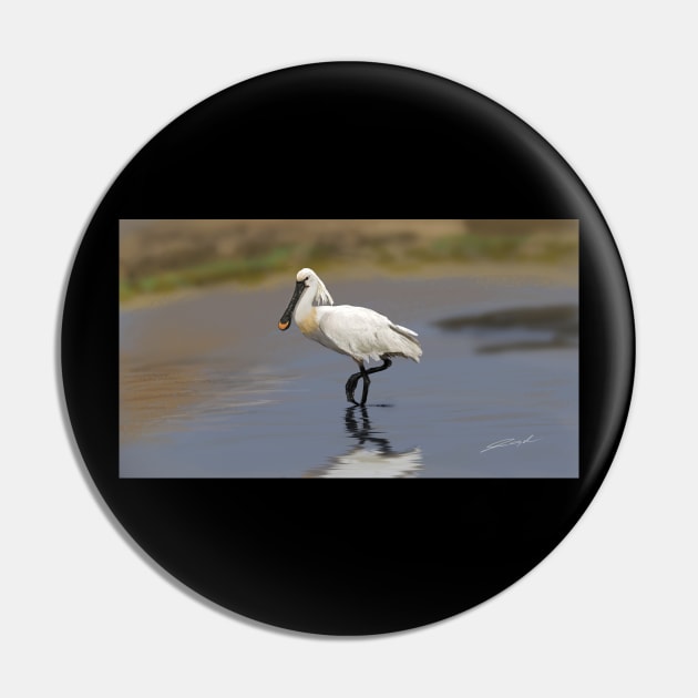 Eurasian spoonbill or common spoonbill (Platalea leucorodia) Pin by visualangel