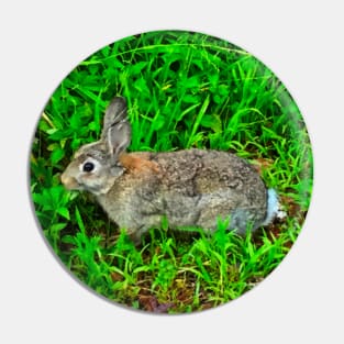 The Rabbit in the Grass! Pin