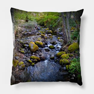 Creekside Pillow