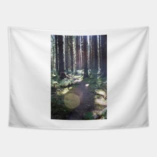 Enchanted Woods Tapestry