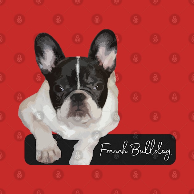 French Bulldog by NV