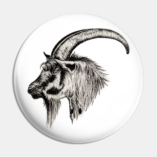 Ibex Pin