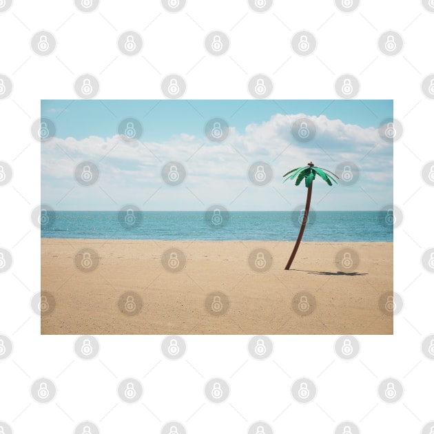 Palm tree on the beach by SeacoastMerch