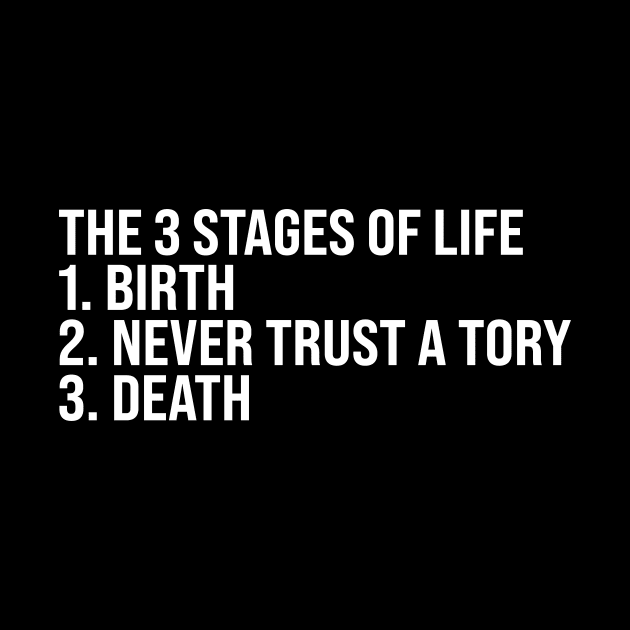 The 3 Stages of Life by n23tees