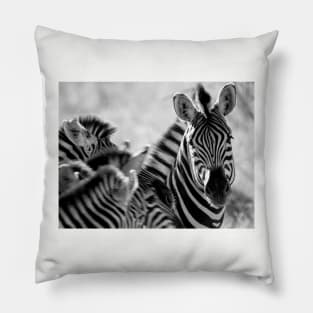 Zebra print, monochrome Pillow