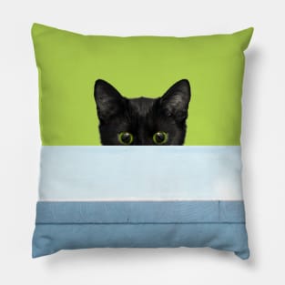 Playful Cat Pillow