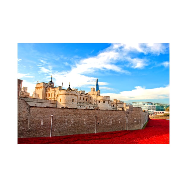 Tower of London Red Poppies UK by AndyEvansPhotos