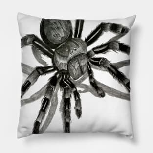 A 3D Spider Pillow