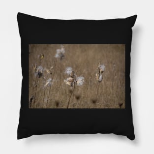 Milkweed seedheads Pillow