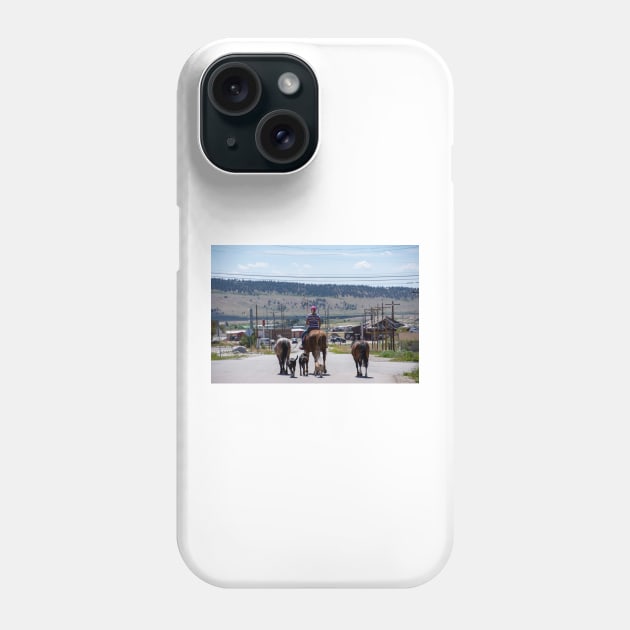 Woman Riding Horse With 3 Dogs and 2 Horses Phone Case by photosbyalexis