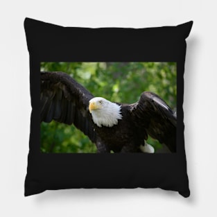 Wings Pillow