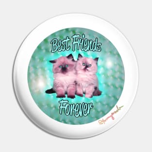 Best Friends Forever Kittens Pin